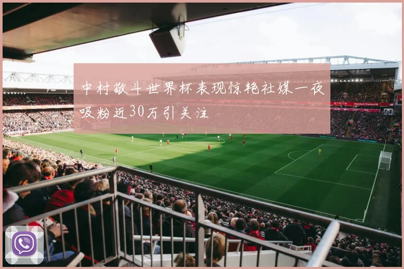 中村敬斗世界杯表现惊艳社媒一夜吸粉近30万引关注