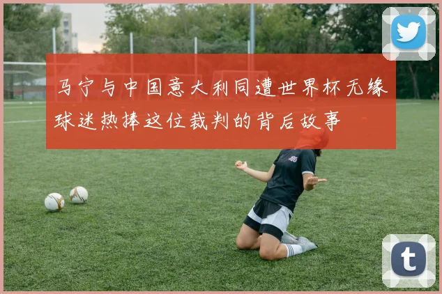 马宁与中国意大利同遭世界杯无缘球迷热捧这位裁判的背后故事