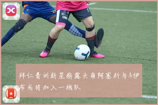 拜仁青训新星崭露头角阿塞科与A伊布或将加入一线队